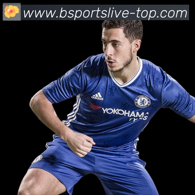 Bsports官网发展历程