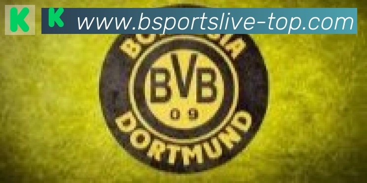 Bsports官网合作伙伴