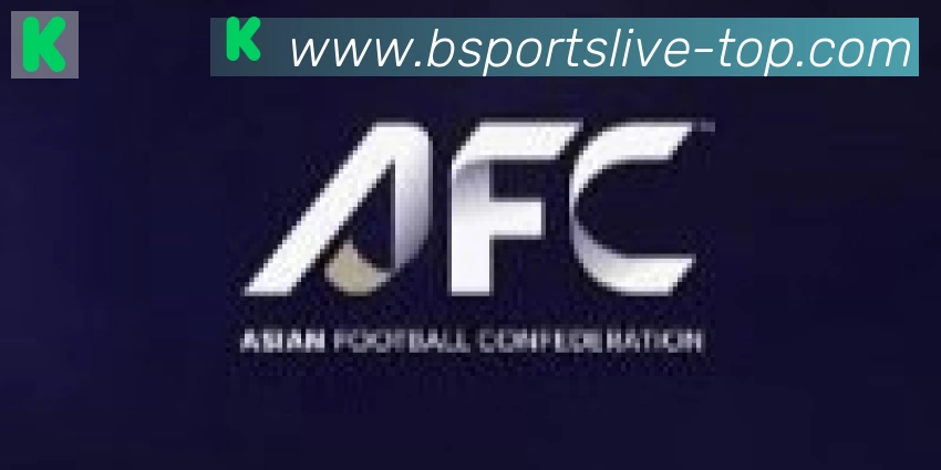 Bsports官网合作伙伴